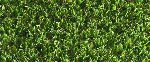 Eclipse Artificial Grass