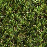 Elise Artificial Grass