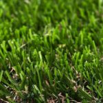 Vision Artificial Grass