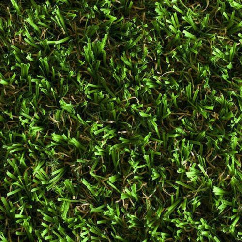 Vision Artificial Grass